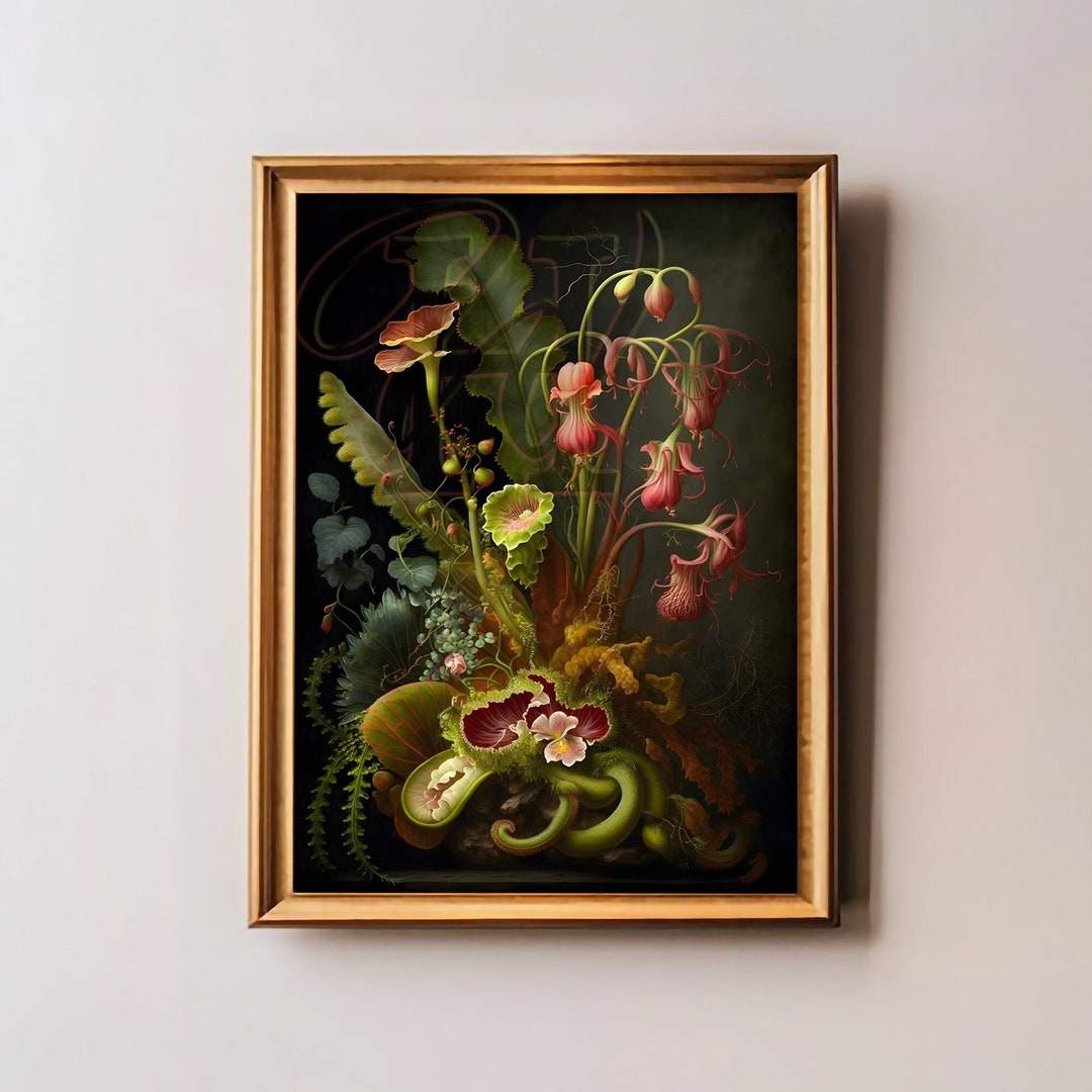 Botanical Print: Carnivorous Plant, Venus Flytrap, Pitcher Plant - Etsy