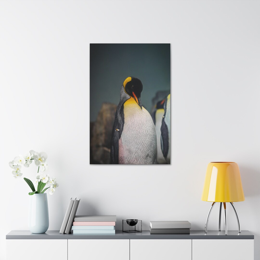 Animal Canvas Penguin Canvas Penguin Print Penguin Photo Animal Art ...