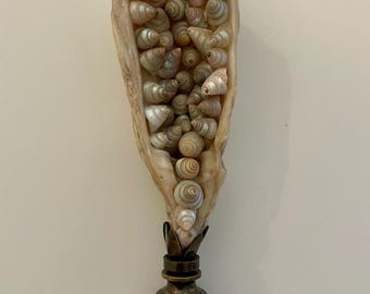 May include: A unique lamp finial featuring a natural, elongated shell filled with numerous small, spiraled seashells. The shell is cream-colored with iridescent highlights, and it is mounted on a bronze-toned metal base. The finial adds a touch of coastal charm.