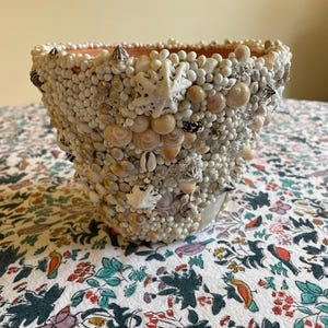 Puede incluir: Una maceta decorativa cubierta de varias conchas marinas, incluyendo pequeñas conchas blancas, estrellas de mar y conchas. La maceta tiene un interior melocotón claro y está sobre un fondo floral.