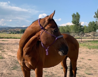 Rope Halters