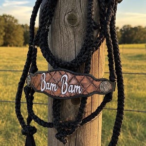 Custom Name Halters