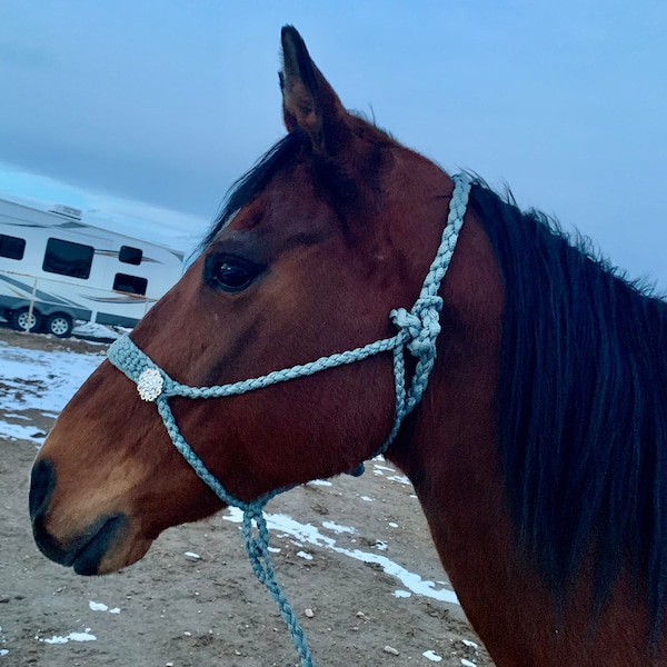 Mule Tape Halter - Etsy