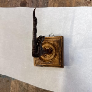 May include: A dark brown bird claw mounted on a wooden plaque with a silver hook. The claw is mounted on a wooden plaque with a silver hook.