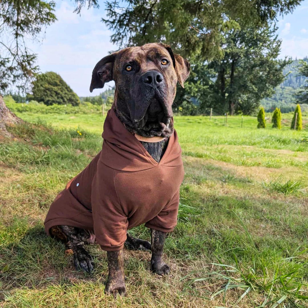 Deep Brown Big Dog Hoodie: Stretchy Pullover for Extra-large Breeds - Etsy