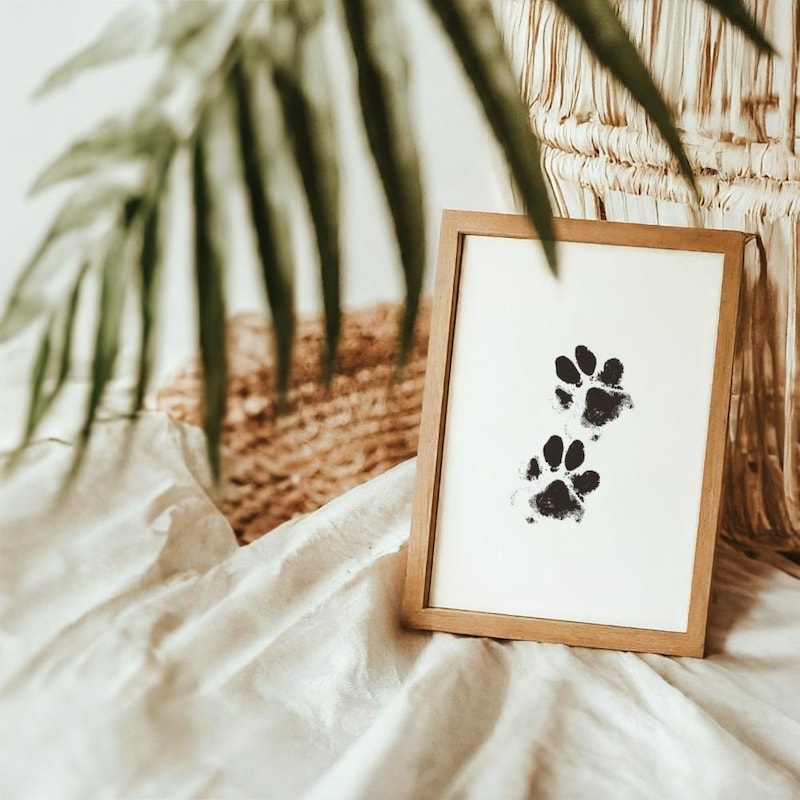Paw Print Keepsake Frame Etsy paw-print-keepsake-frame-etsy