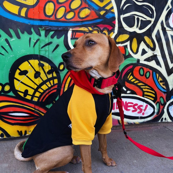 Pullover dog hoodie with half zipper • 90s color block • Quality pet apparel