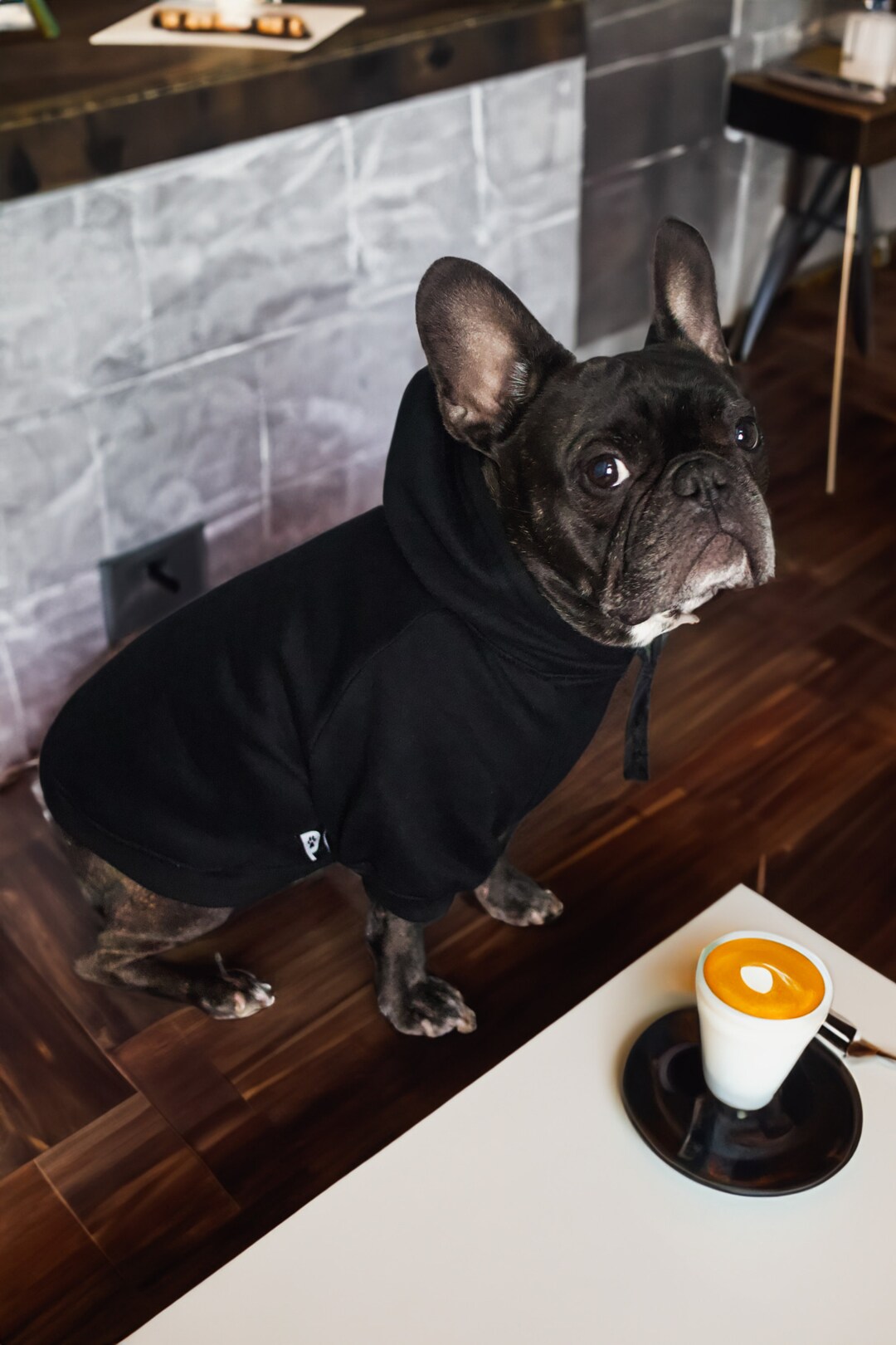 Comfy, Pullover Black Dog Hoodie French Bulldog Sizes Quality Pet