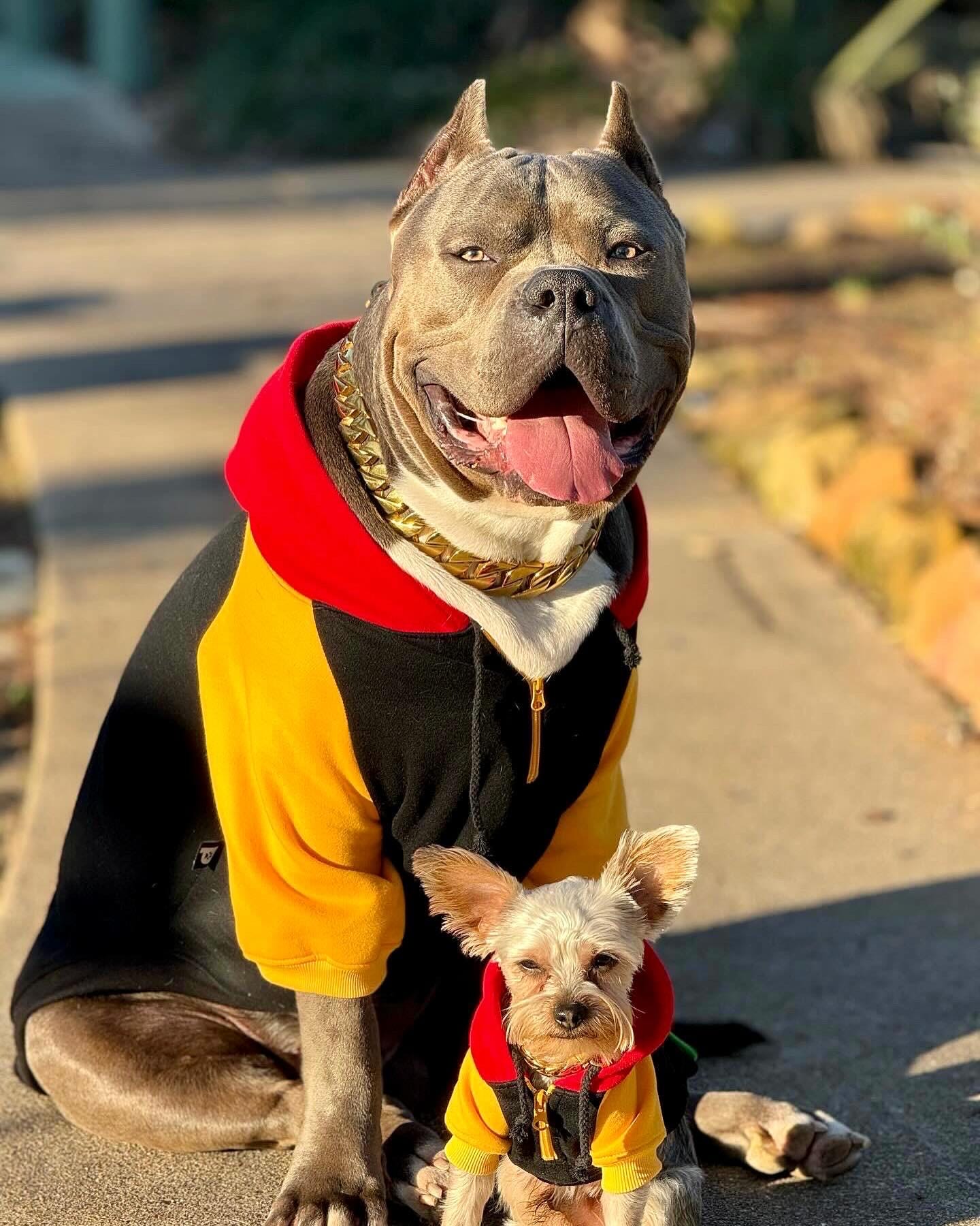 Big Dog Hoodie: 90s Color Block Fleece-lined Pullover With Quarter Zip - Etsy