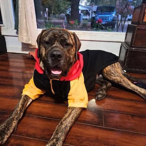 May include: A large brindle dog wearing a black, yellow, and red hooded sweatshirt. The dog is lying on a hardwood floor with its mouth open. The sweatshirt has a yellow body, black sleeves, and a red hood.