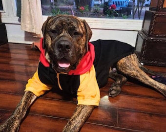 Big Dog Hoodie: 90s Color Block Fleece-lined Pullover With ...