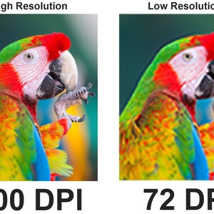 May include: A close-up of a colorful macaw with red, yellow, green, and blue feathers. The image on the left shows the macaw at a higher resolution, while the image on the right shows the macaw at a lower resolution. The text below each image indicates the resolution in dots per inch (DPI).