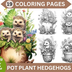 May include: 19 colouring pages featuring adorable hedgehogs in potted plants. The pages are black and white, ready to be coloured. The title "Pot Plant Hedgehogs" is at the bottom of the image.