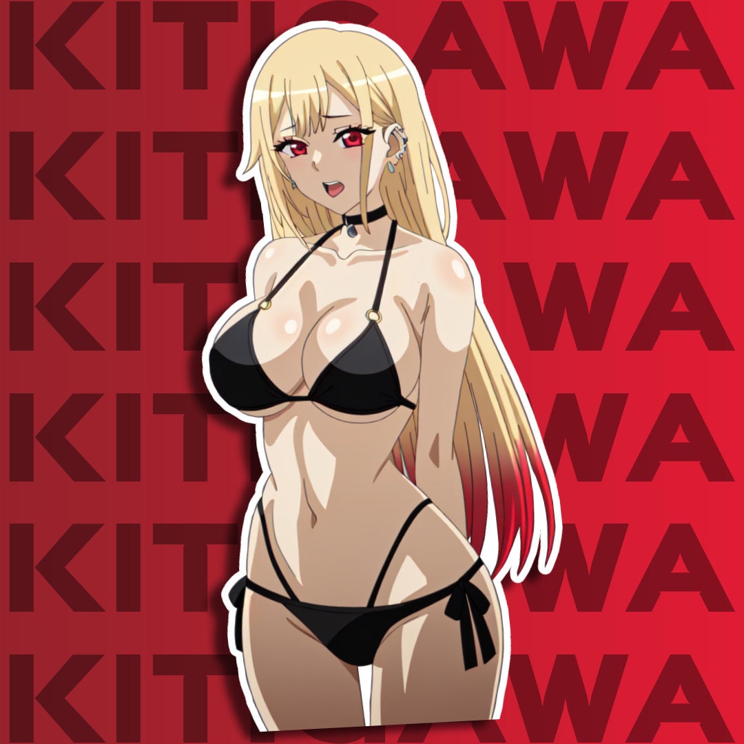 Dress up Waifu Waifu Vinyl Sticker Laptop, Phone Sticker - Etsy