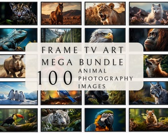 Samsung Frame TV Art Set - Animal Photography | Wildlife Tv Art | Nature Frame TV Art | TV Art Collection | Frame Tv Art set | Hd Tv Art