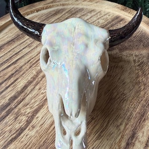 Può includere: Un teschio di mucca in ceramica con finitura iridescente. Il teschio ha corna marrone scuro ed è posto su uno sfondo di legno. La superficie del teschio riflette un arcobaleno di colori, aggiungendo un tocco decorativo.