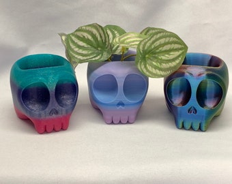 Succulent Planter, Skull Planter. Dice cup