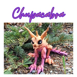 Chupacabra Articulated Desk toy, Sensory toy.