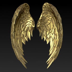 May include: A pair of golden angel wings, intricately detailed with layered feathers. The wings are displayed against a dark background, showcasing their metallic sheen and sculpted texture. The wings are a symbol of freedom and spirituality.
