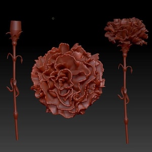 May include: A 3D model of a red carnation flower. The flower is shown in three different views: a close-up of the flower head, a side view of the flower with the stem, and a top view of the flower head.