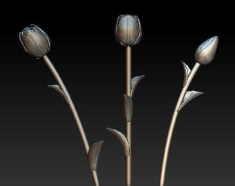 Tulip 3D model/3D Prints STL File