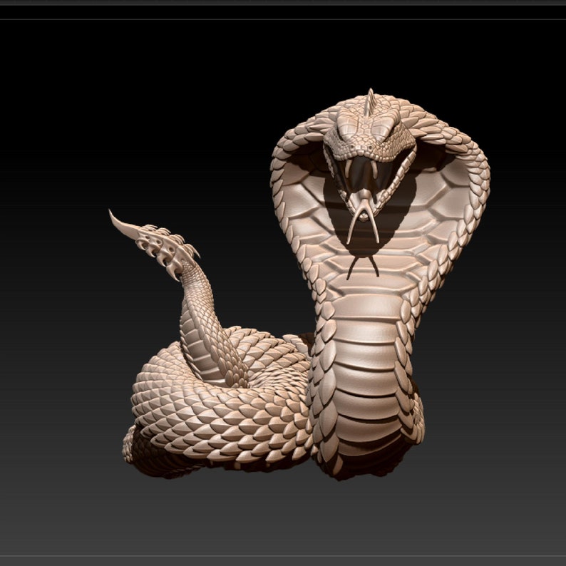 May include: A detailed 3D model of a cobra snake with its hood raised, fangs bared, and a textured, scaly body.