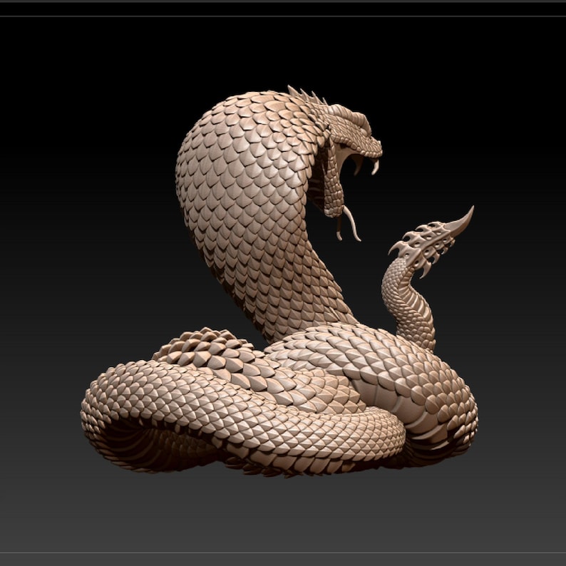 May include: A detailed 3D model of a coiled snake with a textured, scaly surface. The snake is in a defensive posture with its head raised and mouth open.