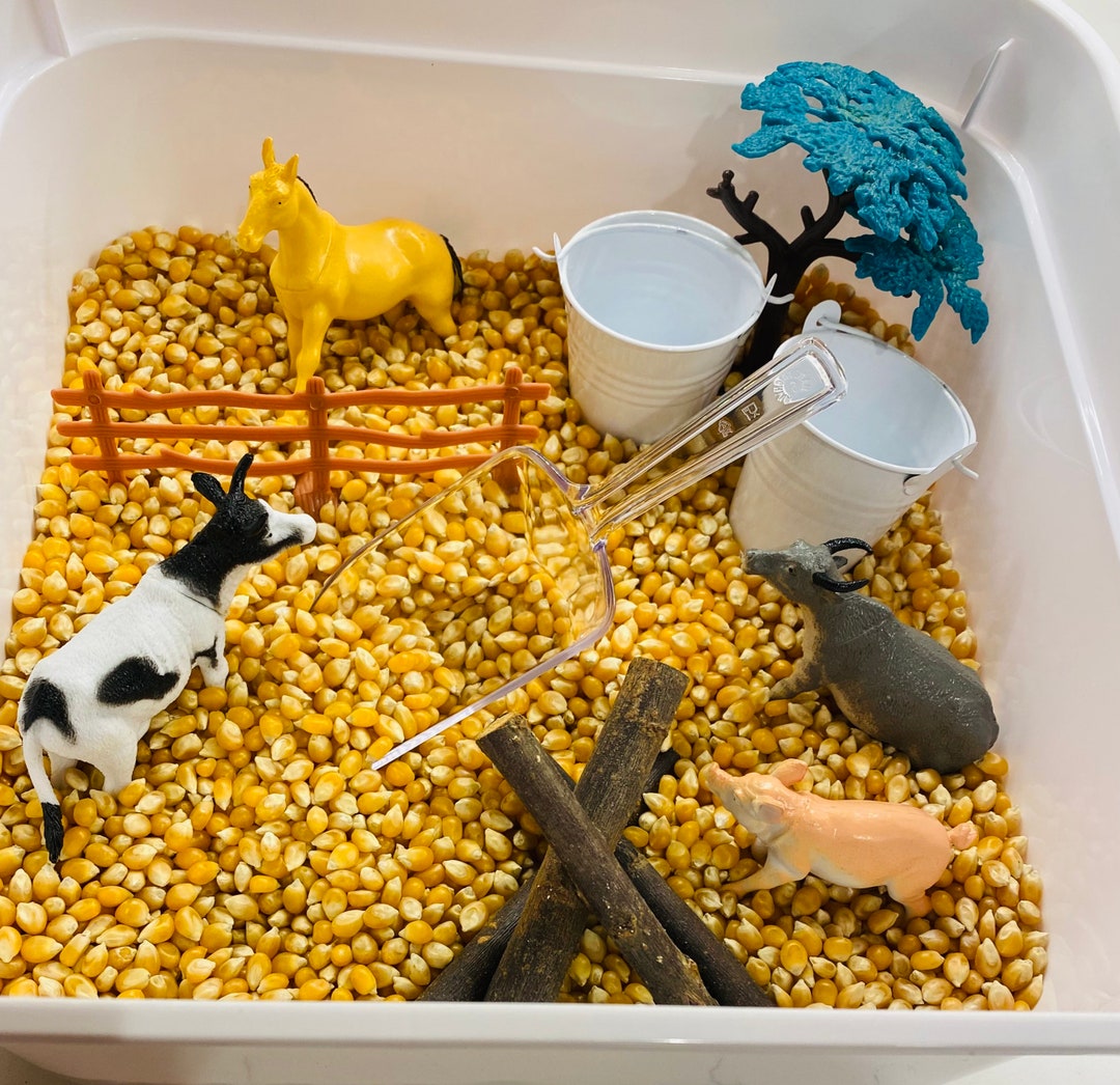 Corn Sensory Bin Etsy