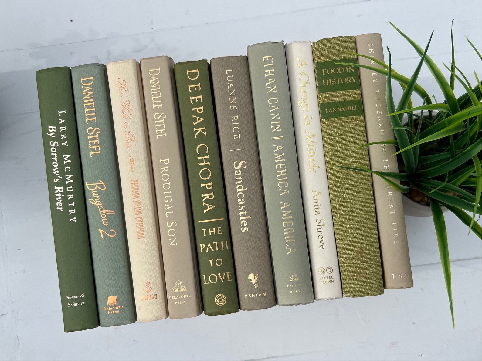 Image of Earth Tone Decor Books