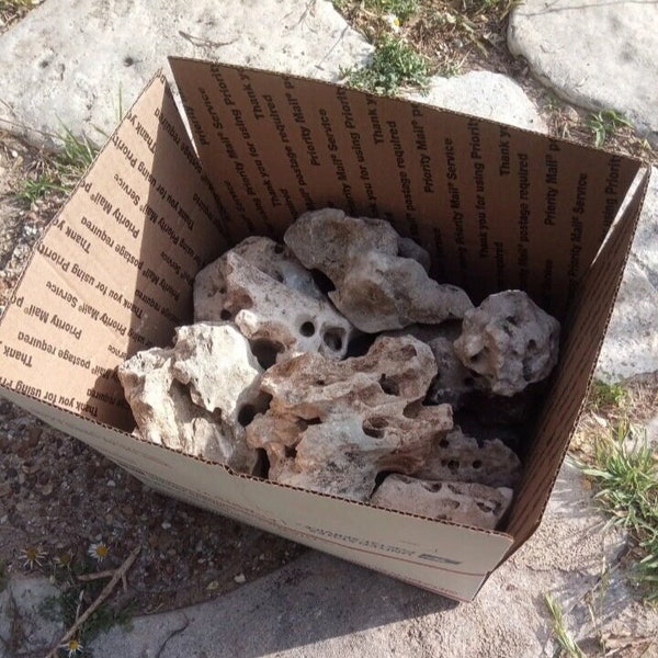 1 box of Texas natural limestone holey rock aquarium  terrarium rocks garden rocks