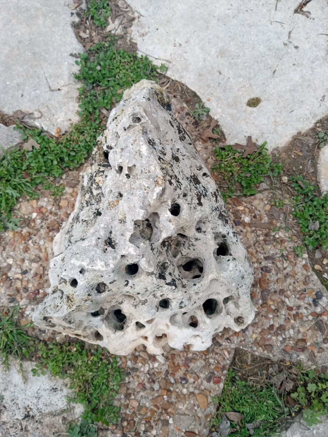 Texas Natural Limestone Holey Rock Aquarium Terrarium Rocks Garden