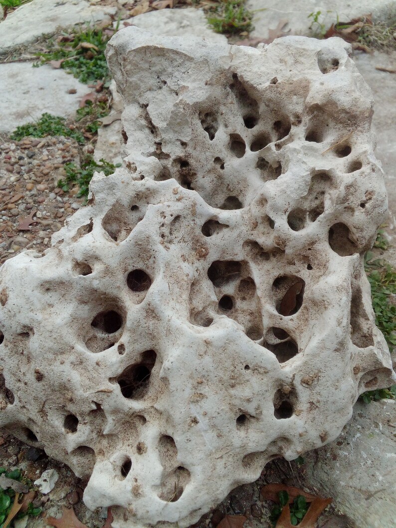 Texas Natural Limestone Holey Rock Aquarium Terrarium Rocks Etsy