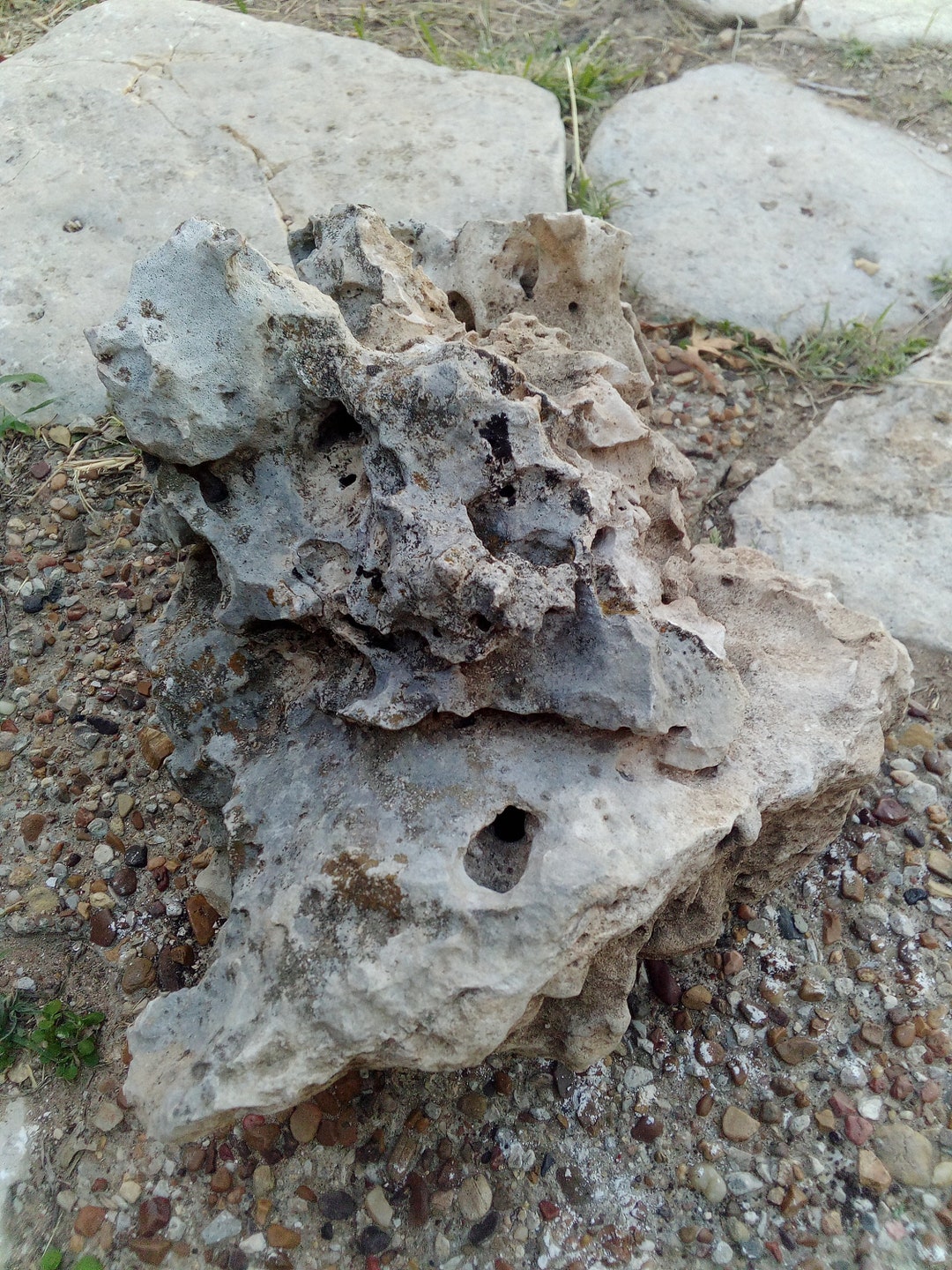 Texas Natural Limestone Holey Rock Aquarium Terrarium Rocks Etsy