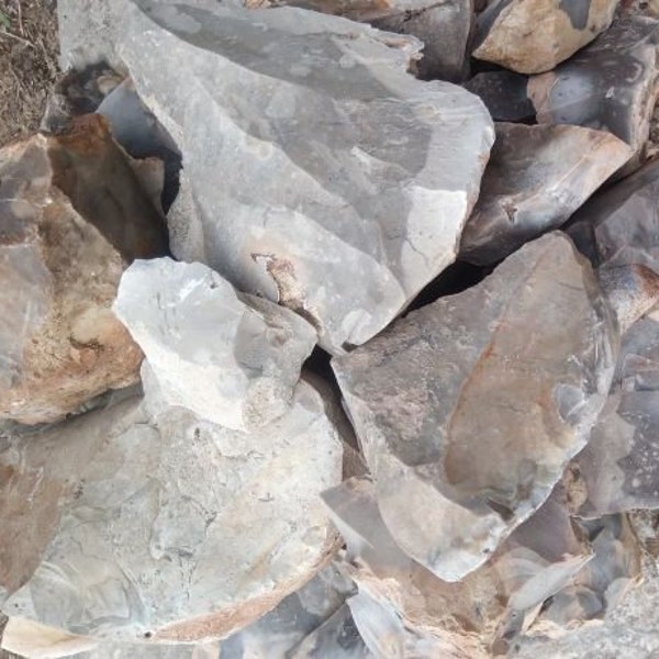 20+lbs Central Texas chert/Flint rock for knapping/lapidary 1 flat rate shipping box full