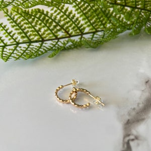 May include: A pair of small, gold-colored hoop earrings with a textured surface. The earrings are displayed on a white surface with a green fern leaf in the background. The earrings have a post and butterfly clasp.