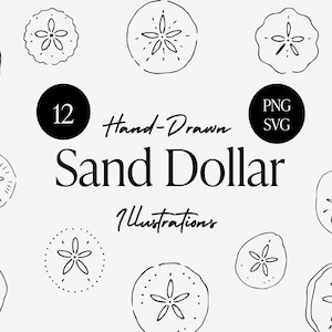 12 handritade sanddollarillustrationer, minimala kuststrandklotter (SVG PNG)