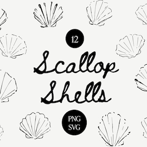 Può includere: Illustrazione in bianco e nero di conchiglie di capesante. L'immagine include il testo "12 Scallop Shells" e "PNG SVG" in un badge circolare. Le conchiglie sono disegnate con linee nere su sfondo crema.