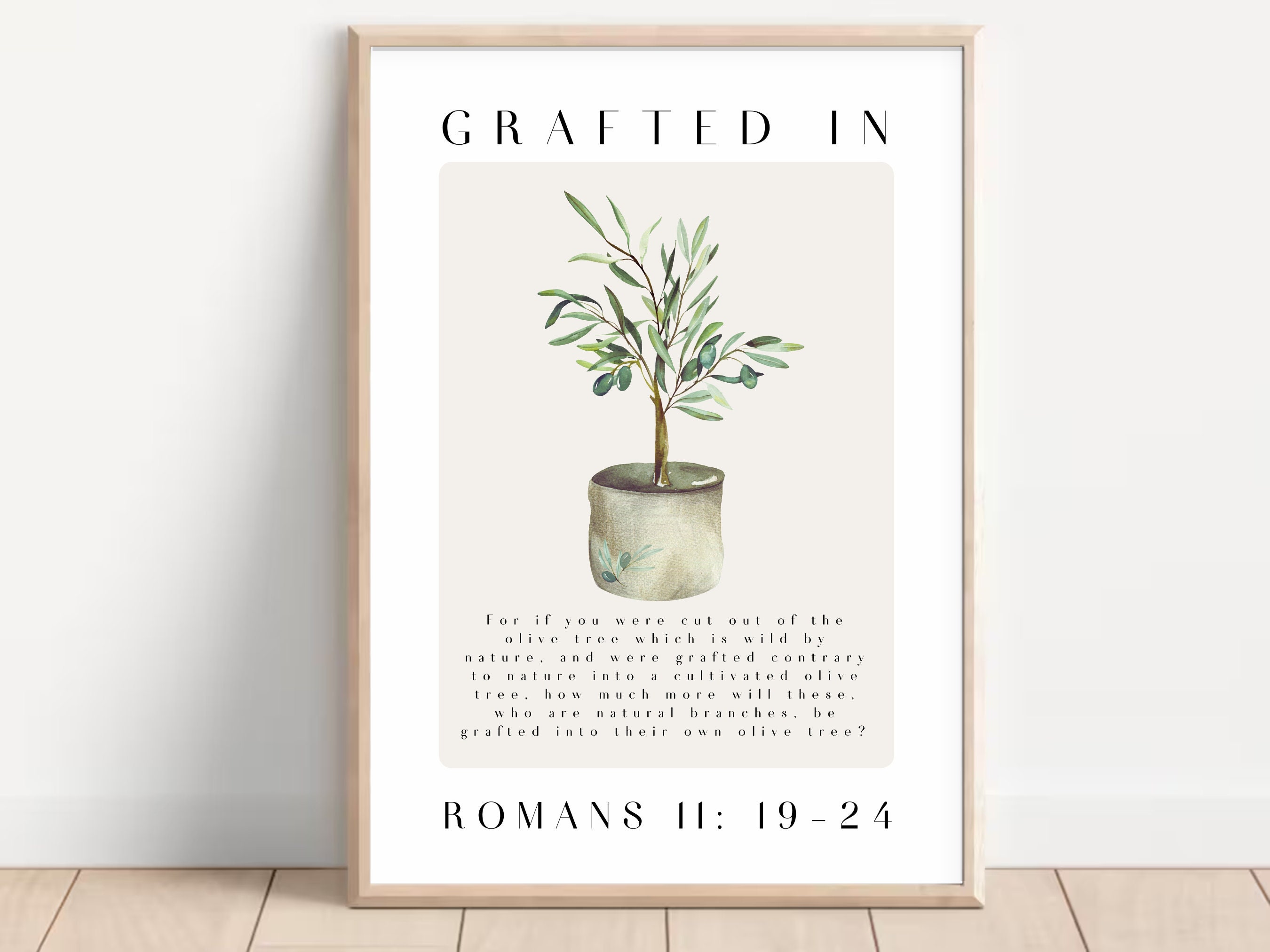 Grafted in Wild Olive Tree Natural Branches Romans 111924 Etsy
