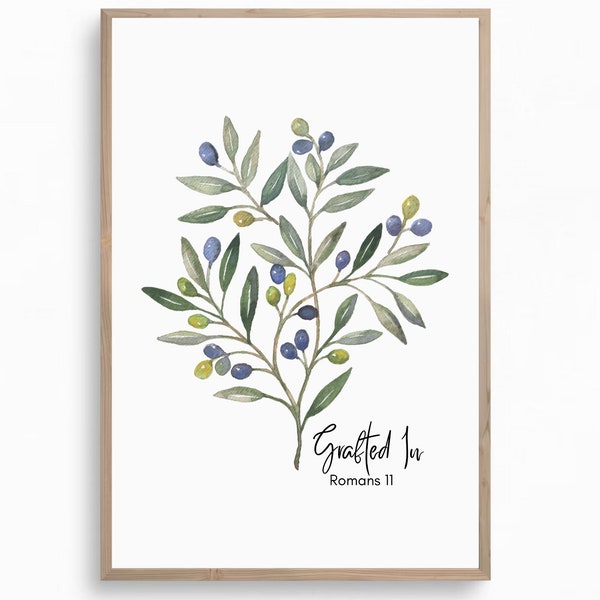 Olive Tree Grafted Etsy