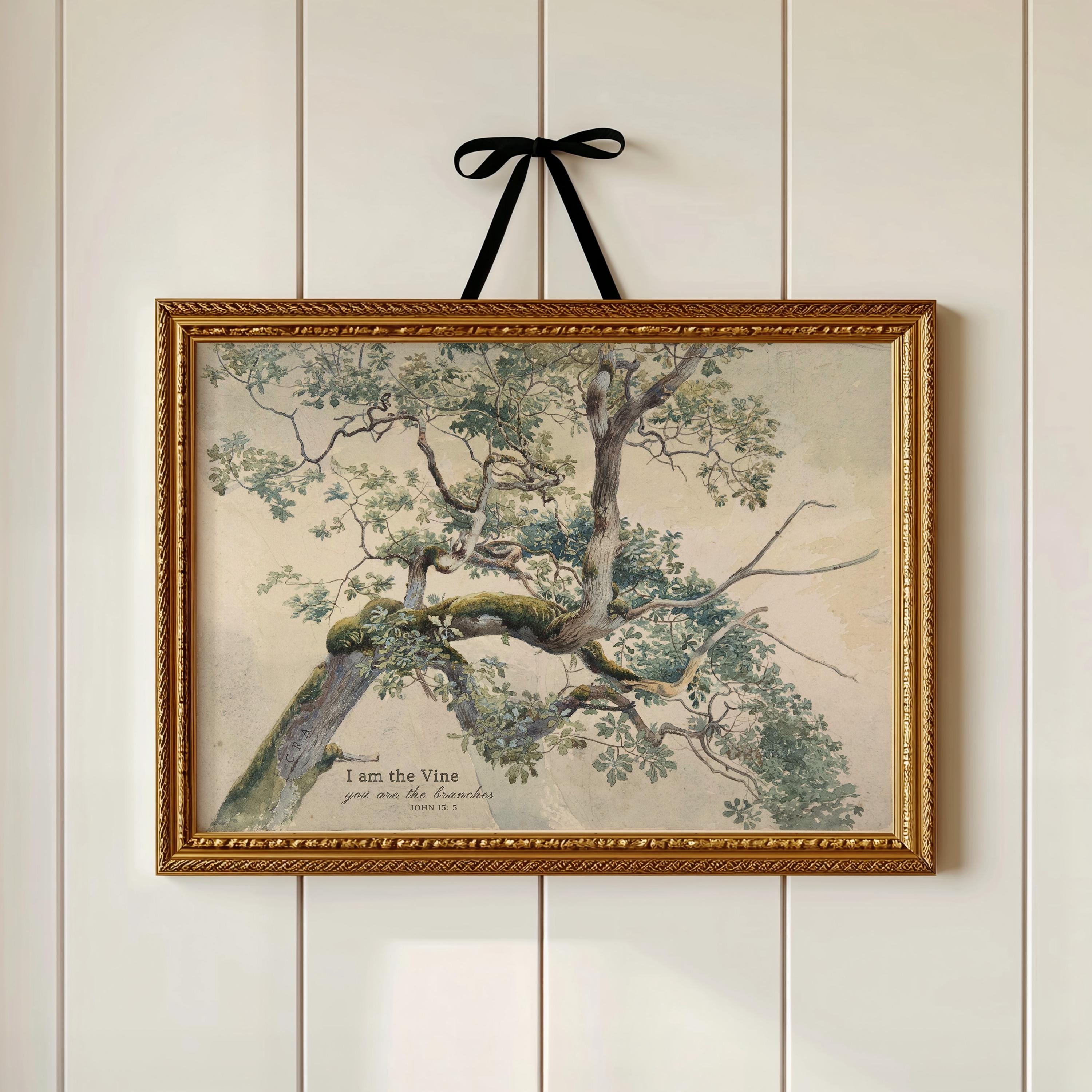 I Am the Vine You Are the Branches, John 15: 5, Christian Vintage Tree  Print, Digital Download - Etsy, image size:3000x3000