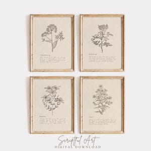 Christliche botanische Wand-Kunst-Set mit 4 neutralen Bibel-Vers-Drucken, beige Blumenskizzen Vintage inspirierte Plakate Digitaler Download