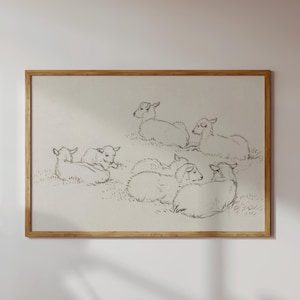 Pu&ograve; includere: Un disegno in bianco e nero di un gruppo di agnelli sdraiati in un campo. Gli agnelli sono disegnati in modo semplice e stilizzato, e il disegno ha un'aria capricciosa.
