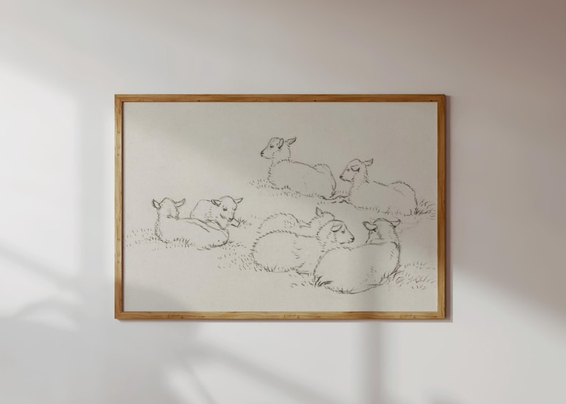 Pu&ograve; includere: Un disegno in bianco e nero di un gruppo di agnelli sdraiati in un campo. Gli agnelli sono disegnati in modo semplice e stilizzato, e il disegno ha un'aria capricciosa.