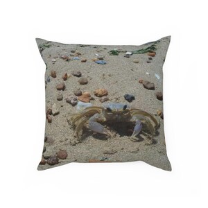 Cushion