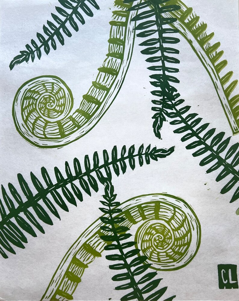 Resilience, Hāpuu Tree Fern and Fiddleheads, Native Hawaiian Plant