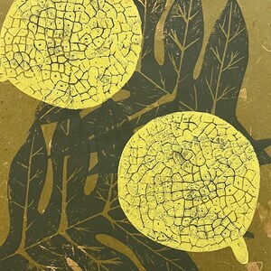 May include: A close-up of a print featuring two yellow, textured circles on a brown background with dark green leaves.