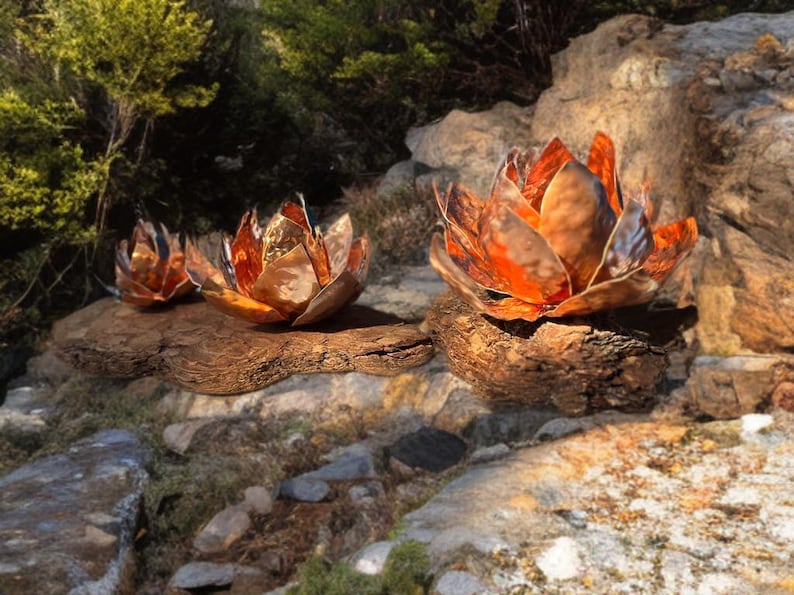 May include: Three copper lotus flower sculptures with a warm, metallic finish. The flowers are arranged on a natural, weathered wood base, set against a backdrop of rocks and greenery. The sculptures have a detailed petal design.