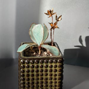 Op de afbeelding: Een kleine, vierkante keramische plantenbak met een getextureerde, donkergroene en bruine buitenkant. Het bevat een kleine plant met lichtgroene bladeren en koperdraadaccenten, samen met koperkleurige metalen bloemen. De plantenbak staat op een donker oppervlak.