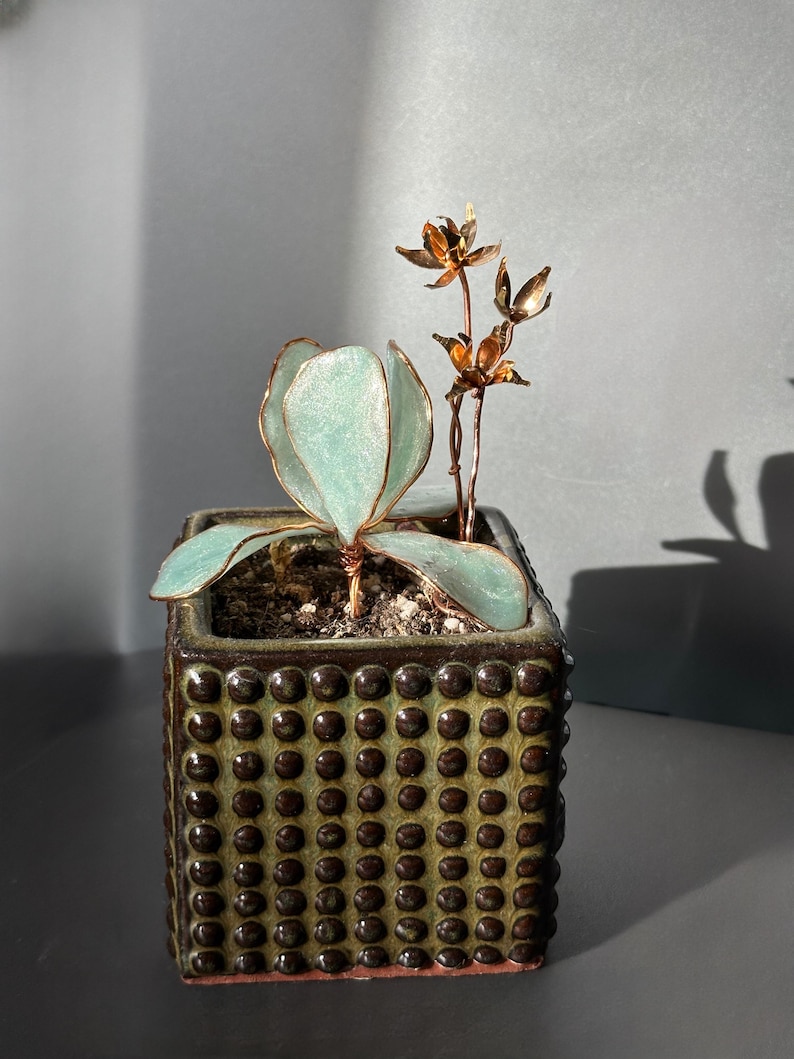 Op de afbeelding: Een kleine, vierkante keramische plantenbak met een getextureerde, donkergroene en bruine buitenkant. Het bevat een kleine plant met lichtgroene bladeren en koperdraadaccenten, samen met koperkleurige metalen bloemen. De plantenbak staat op een donker oppervlak.