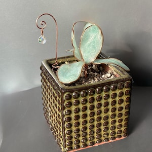 May include: A square ceramic planter with a textured, dotted pattern in shades of brown and green. It holds a succulent with pale green leaves. A copper wire accent with a crystal bead adds a decorative touch.